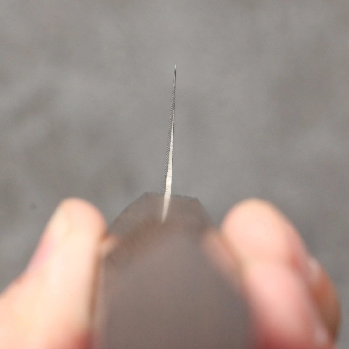 Free ship - Thương hiệu Sakai Takayuki Grand Chef Antares Dao Gyuto bằng thép Thụy Điển 270mm chuôi dao gỗ Wenge