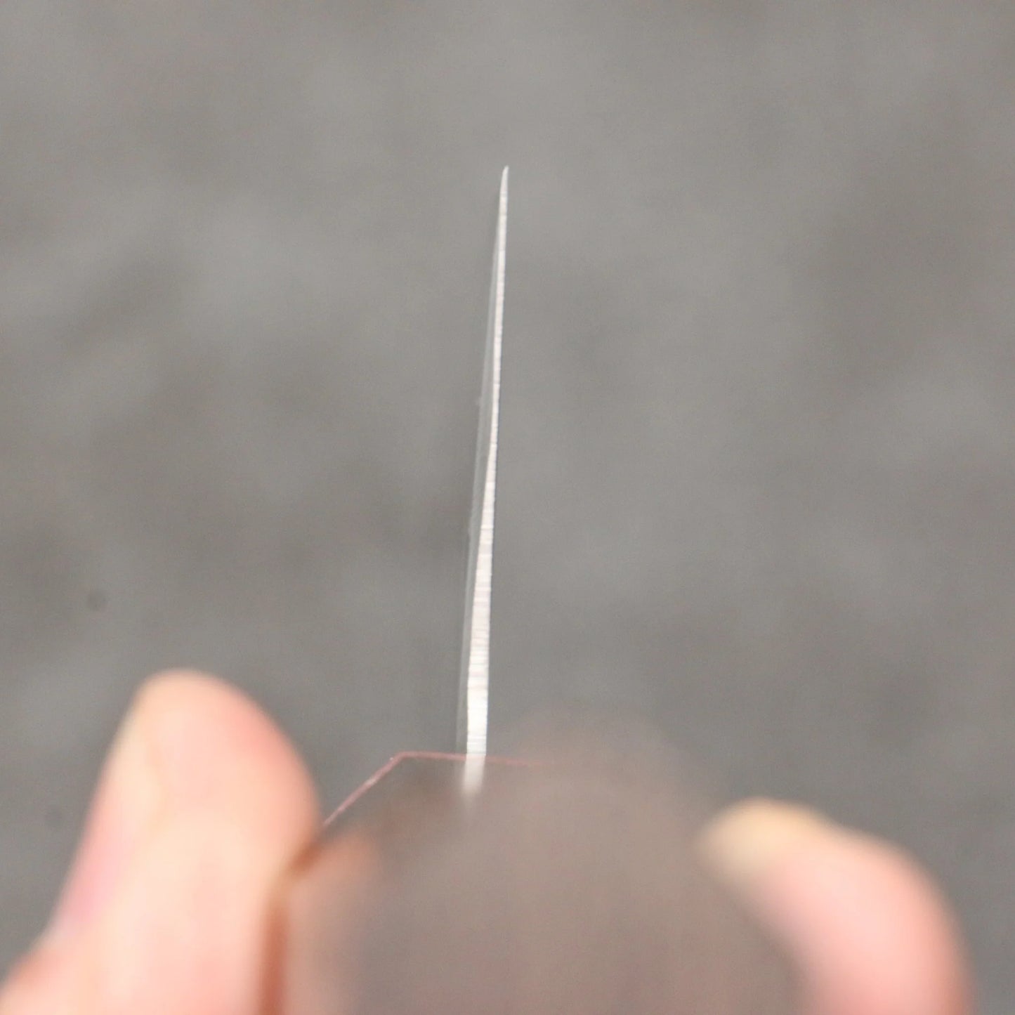 Free ship - Thương hiệu Sakai Takayuki Grand Chef Antares Dao Sujihiki thép Thụy Điển 240mm chuôi dao gỗ Wenge