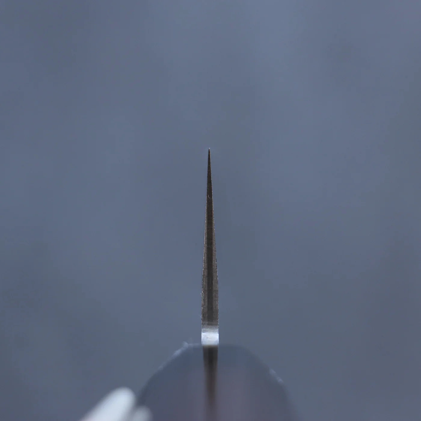 Thương hiệu Seisuke Thép siêu xanh Kasumitogi Dao đa năng Santoku dao Nhật 165mm chuôi dao gỗ Đàn Hương