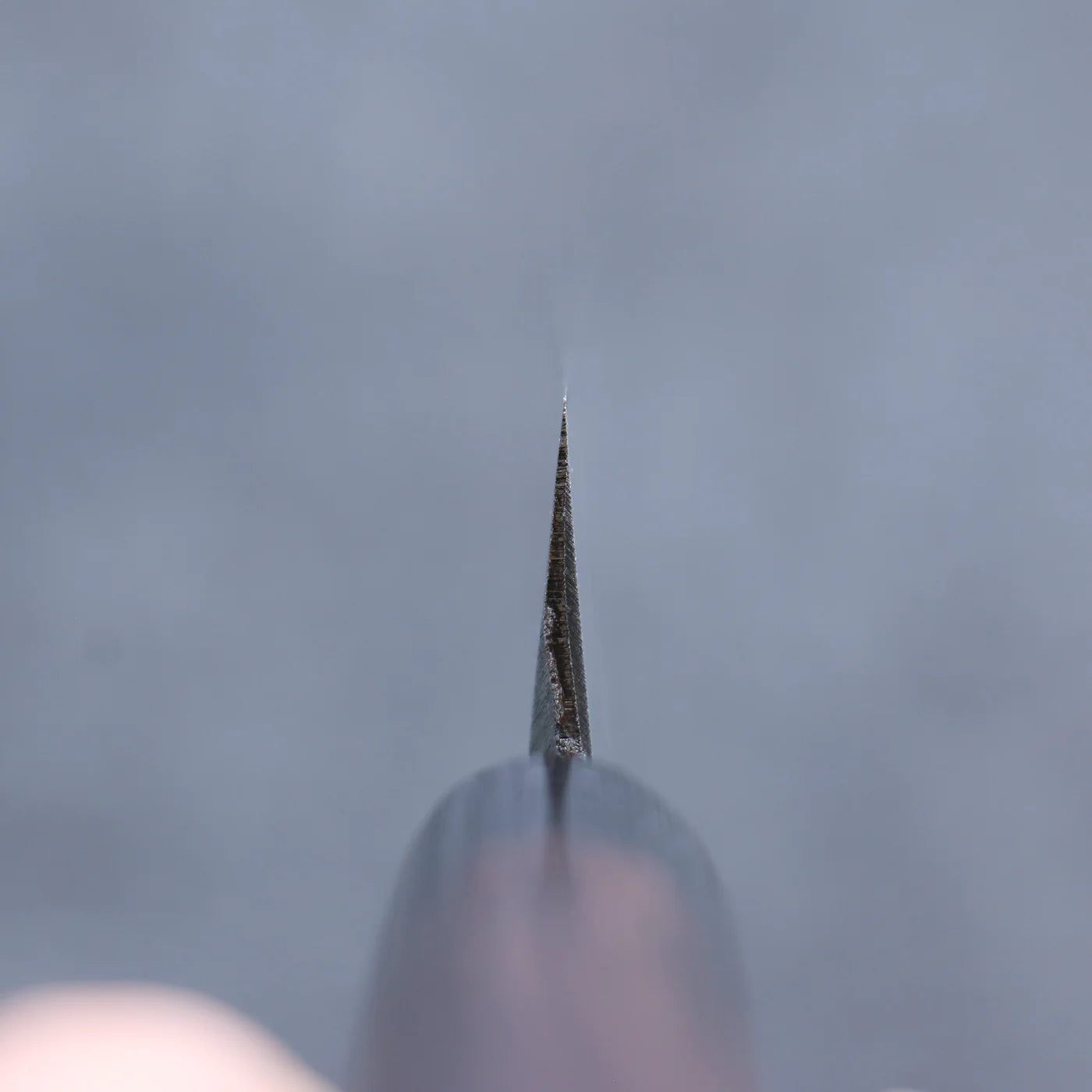 Free ship - Thương hiệu Seisuke Thép trắng Kasumitogi Dao thái cá shashimi chuyên dụng Yanagiba dao Nhật 270mm chuôi dao gỗ Đàn Hương