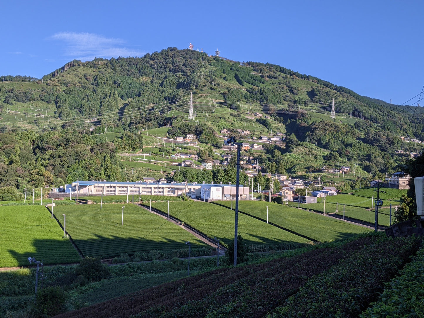 Hochwertiger japanischer Bio-Tee 玉露 Ngoc Suong Gyokuro 50 Gramm (japanischer Bio-Premium-Gyokuro-Grüntee lose Blätter) – Hergestellt in Japan