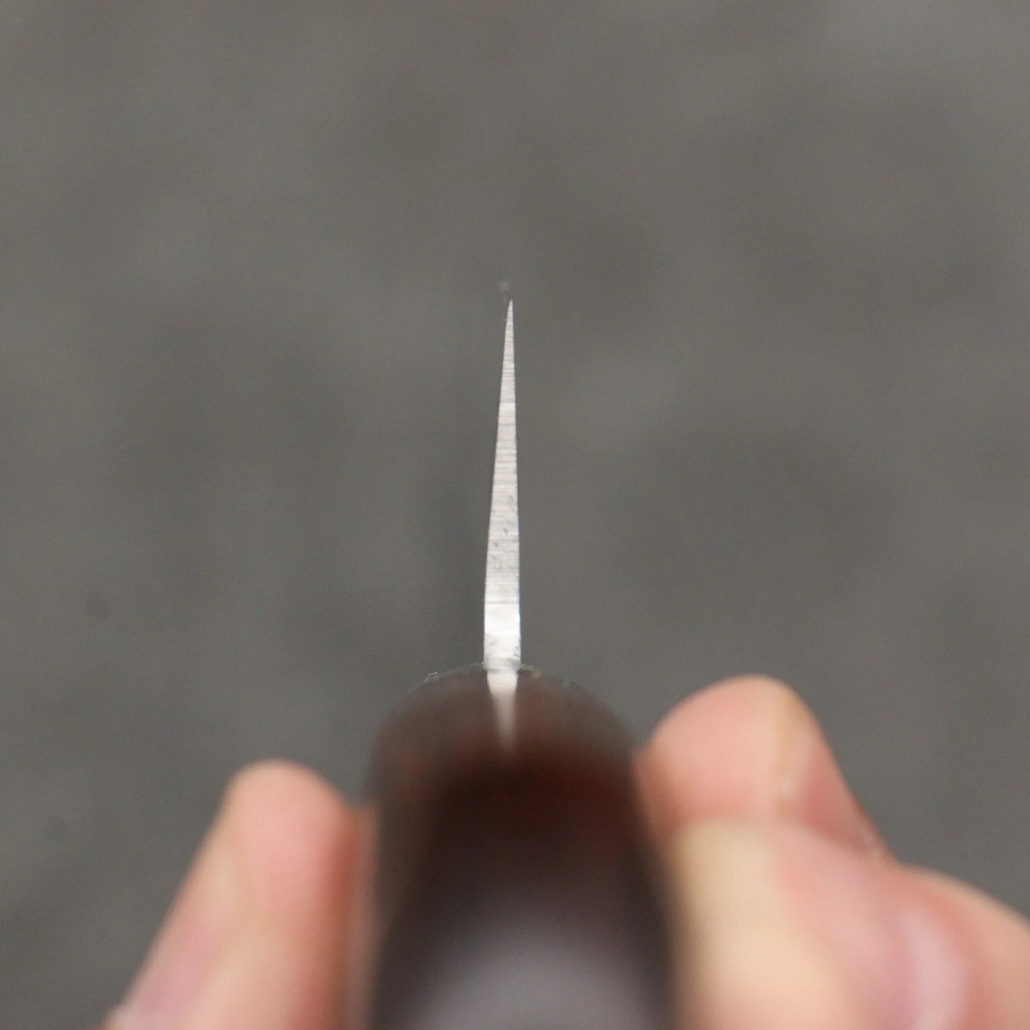 Thương hiệu Seisuke Thép Thụy điển vân búa dao rèn thủ công Dao lọc gân chuyên dụng Sujihiki 270mm chuôi dao gỗ cây Gụ