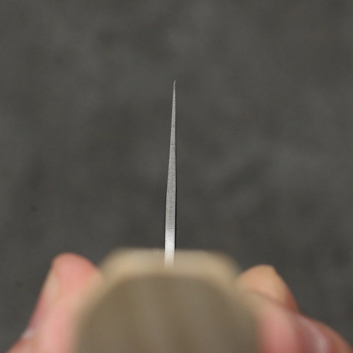 Thương hiệu Seisuke Kumo Hakuichiko Dao Gyuto rèn 240MM chuôi dao hoa mộc lan