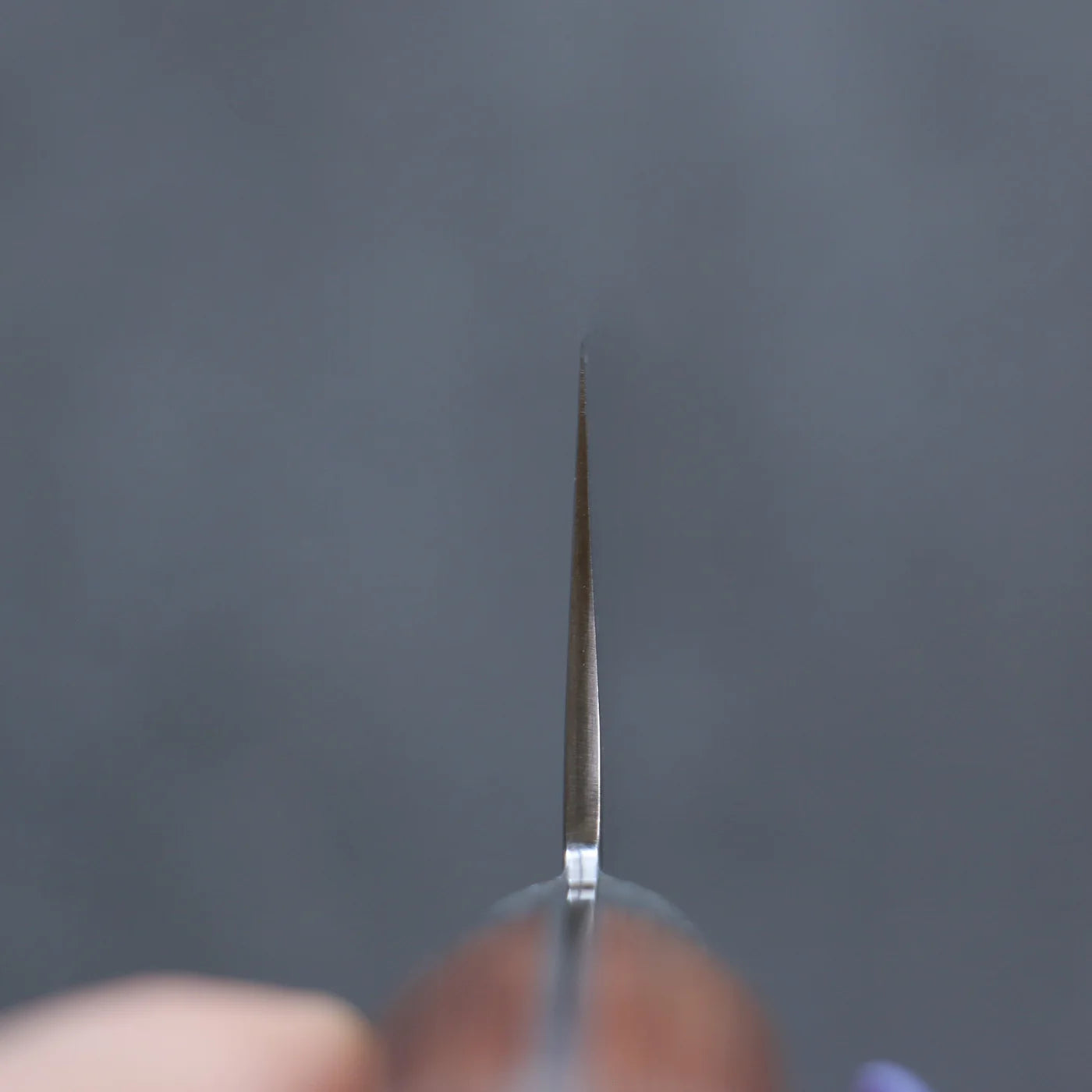 Free ship - Dao Nhật cao cấp - Sakai Takayuki dao rèn thủ công Dao đa năng Gyuto thép VG5 240mm