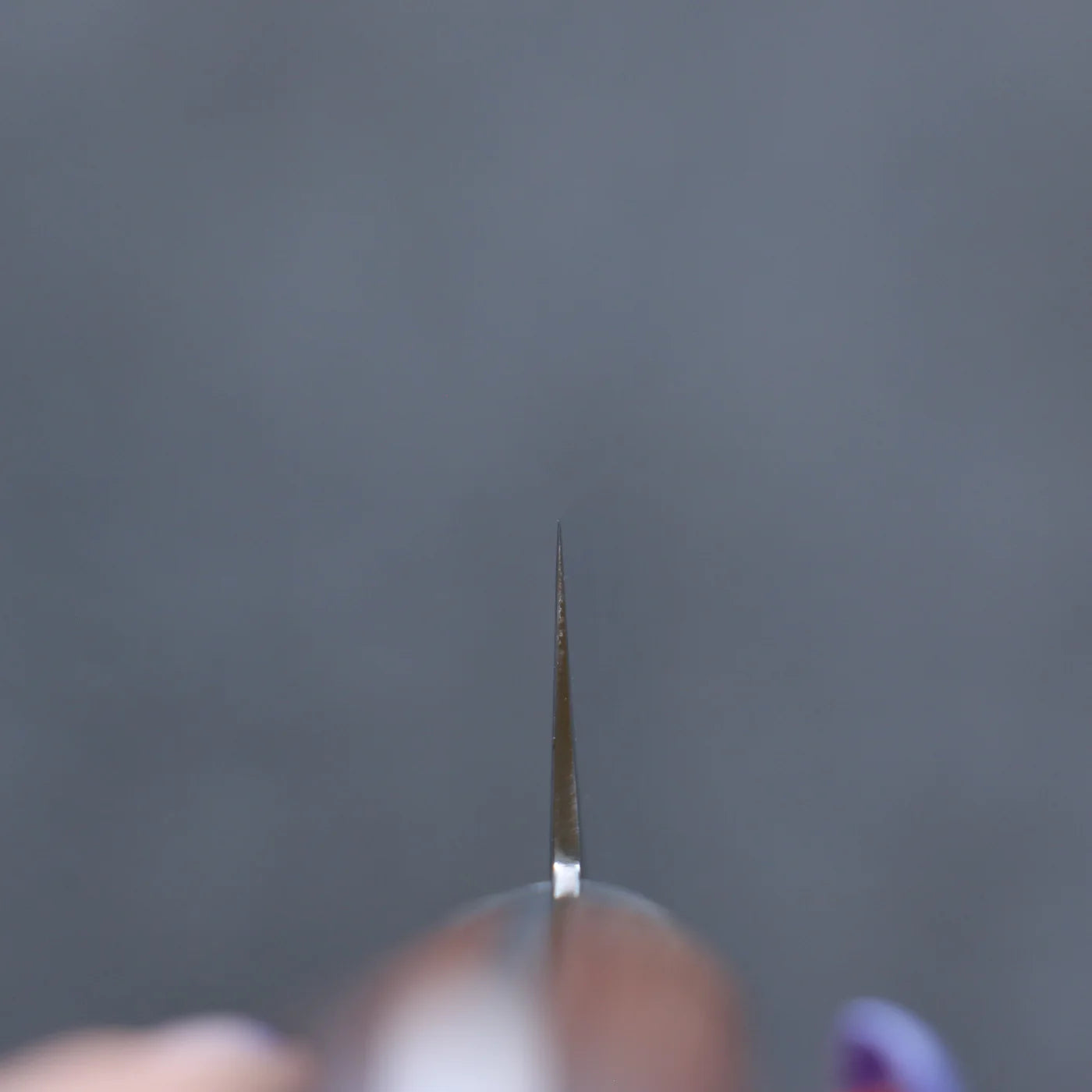 Free ship - Dao Nhật cao cấp - Sakai Takayuki Dao lọc gân chuyên dụng Sujihiki thép VG5 dao rèn thủ công 240mm