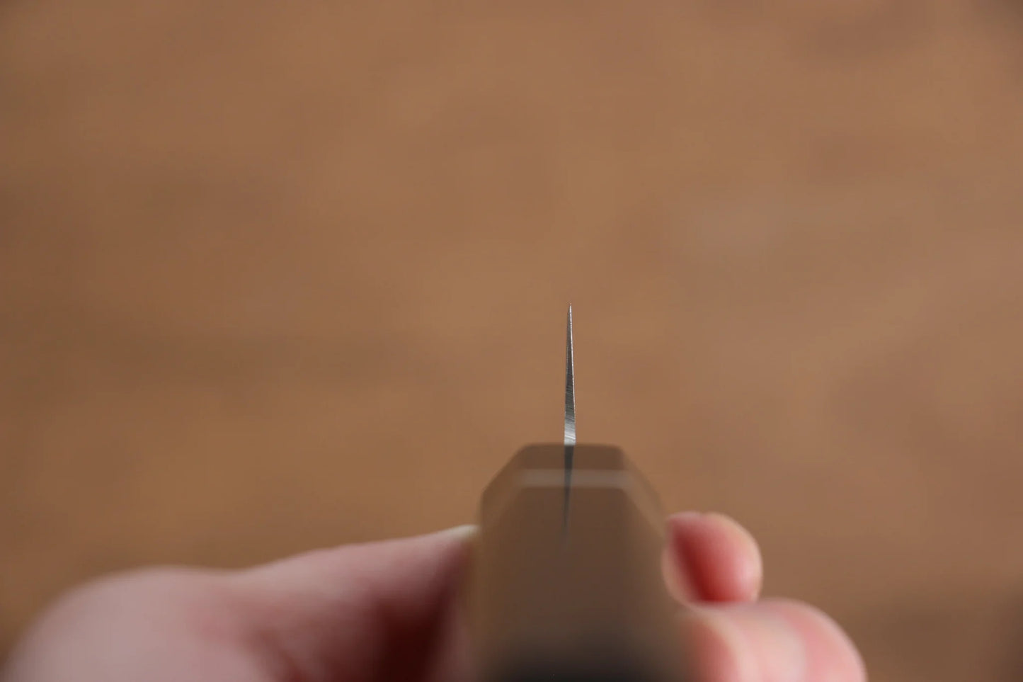 Thương hiệu Seisuke Thép Molybdenum (MOL) Dao cắt lát chuyên dụng dao Nhật 210mm chuôi dao gỗ Pakka đen