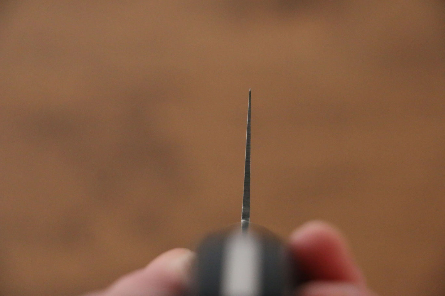 Iseya Molybdenum Gyuto Japanese Knife 210mm Black Pakka wood Handle - Japanny - Best Japanese Knife