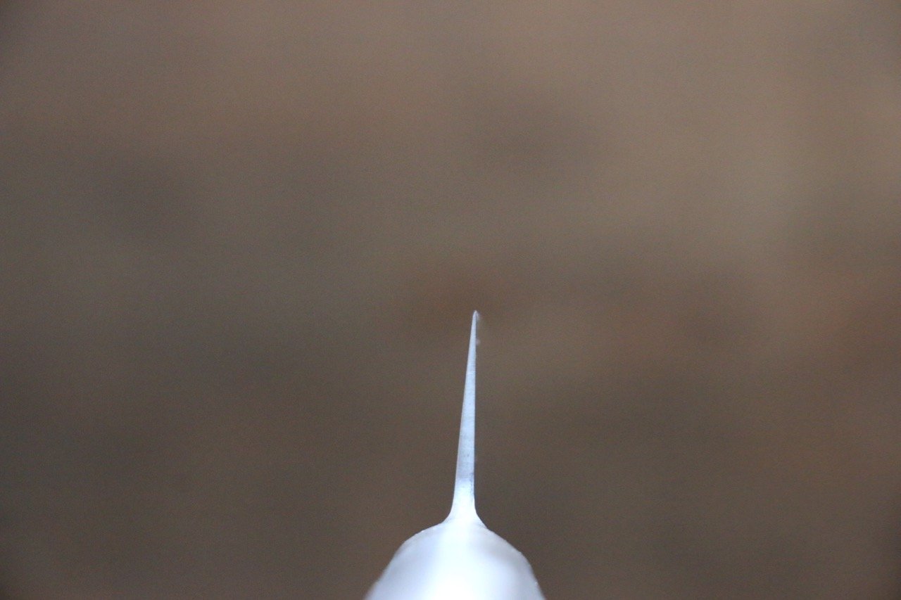 Sakai Takayuki INOX PRO Molybdenum Steel Honesuki Boning Knife 150mm - Japanny - Best Japanese Knife