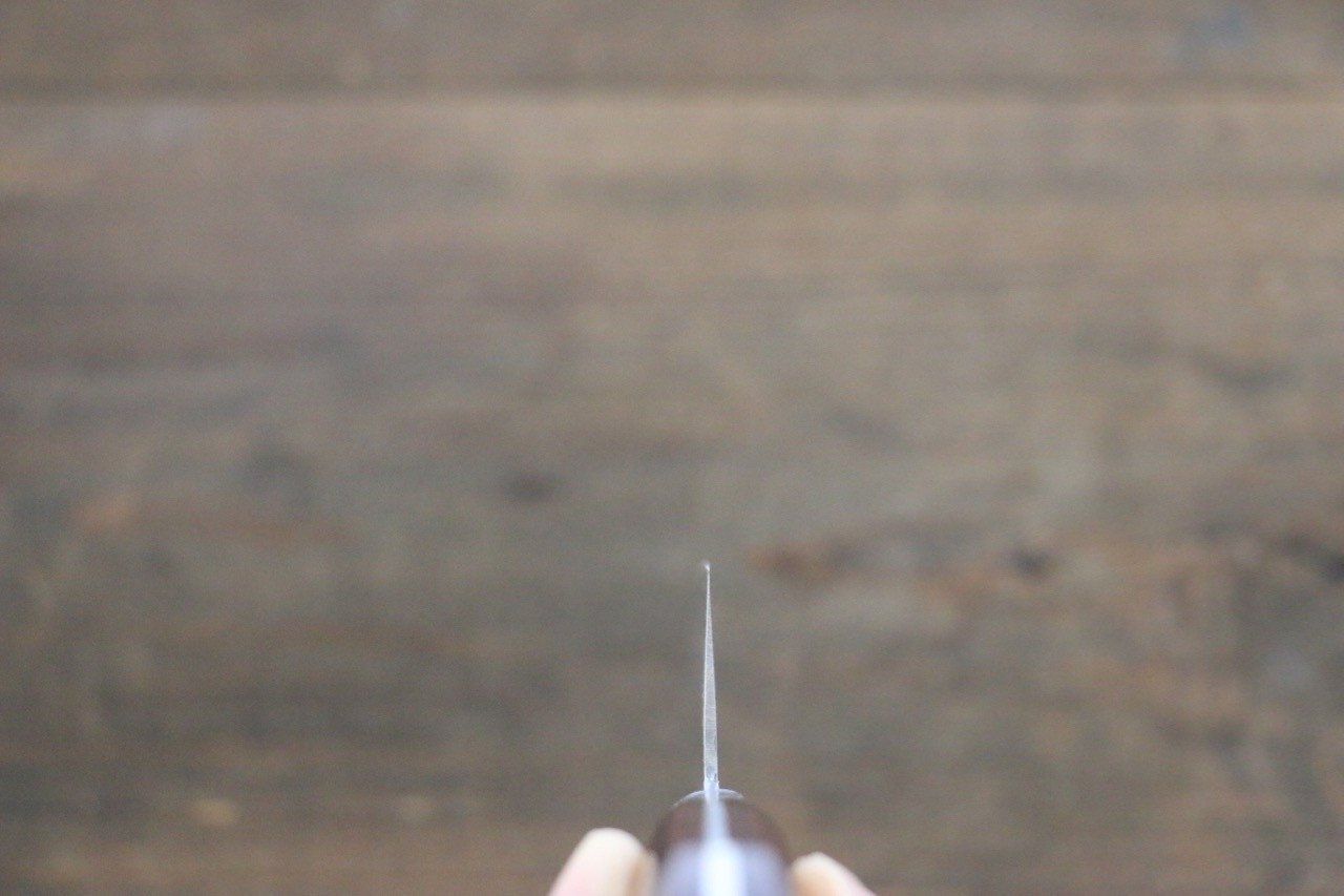 Sakai Takayuki VG10 17 Layer Damascus Gyuto Japanese Chef Knife 210mm - Japanny - Best Japanese Knife