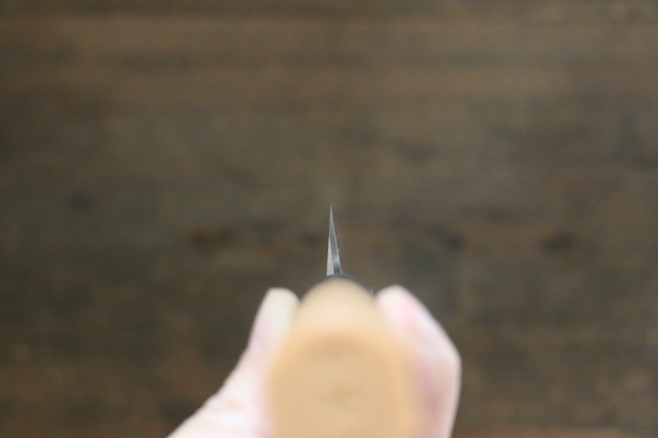 Sakai Takayuki Japanese Chef Series Silver Steel No.3 Yanagiba Sashimi Slicer Knife with Plastic Handle - Japanny - Best Japanese Knife