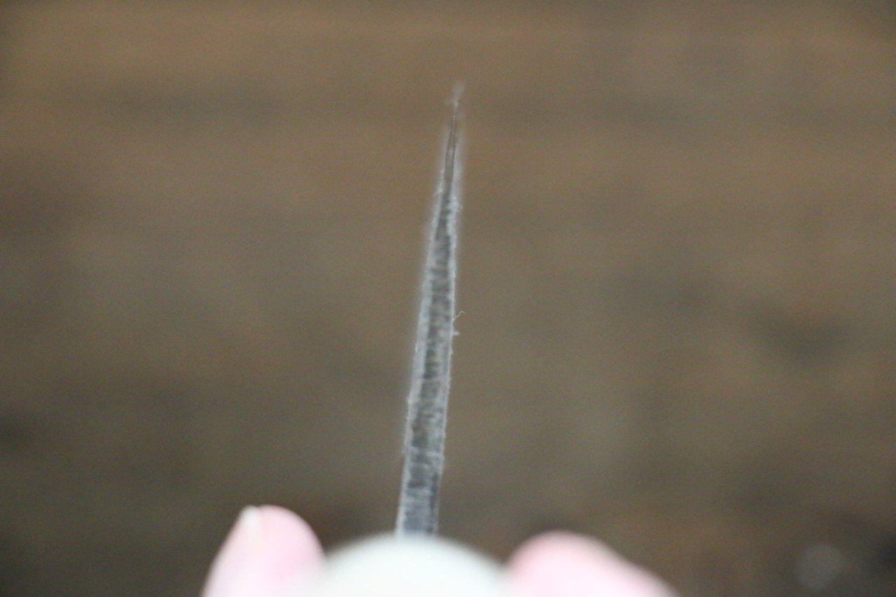 Sakai Takayuki Kasumitogi White Steel Sushi Cutting Knife 240mm - Japanny - Best Japanese Knife