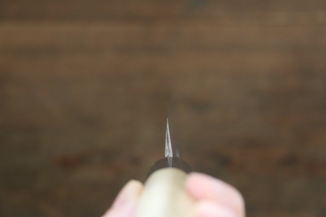 Sakai Takayuki Blue Steel No.2 mirrored Yanagiba Japanese Chef Knife - Japanny - Best Japanese Knife