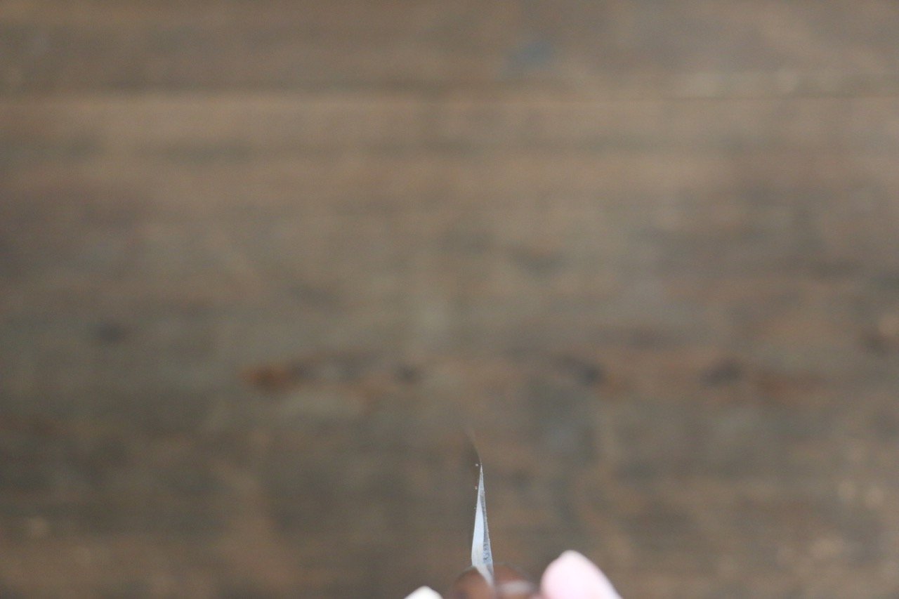 Sakai Takayuki INOX Molybdenum Steel Yanagiba Chef Knife with Desert Iron Wood Handle with Saya (Pane tree skin finish) - Japanny - Best Japanese Knife