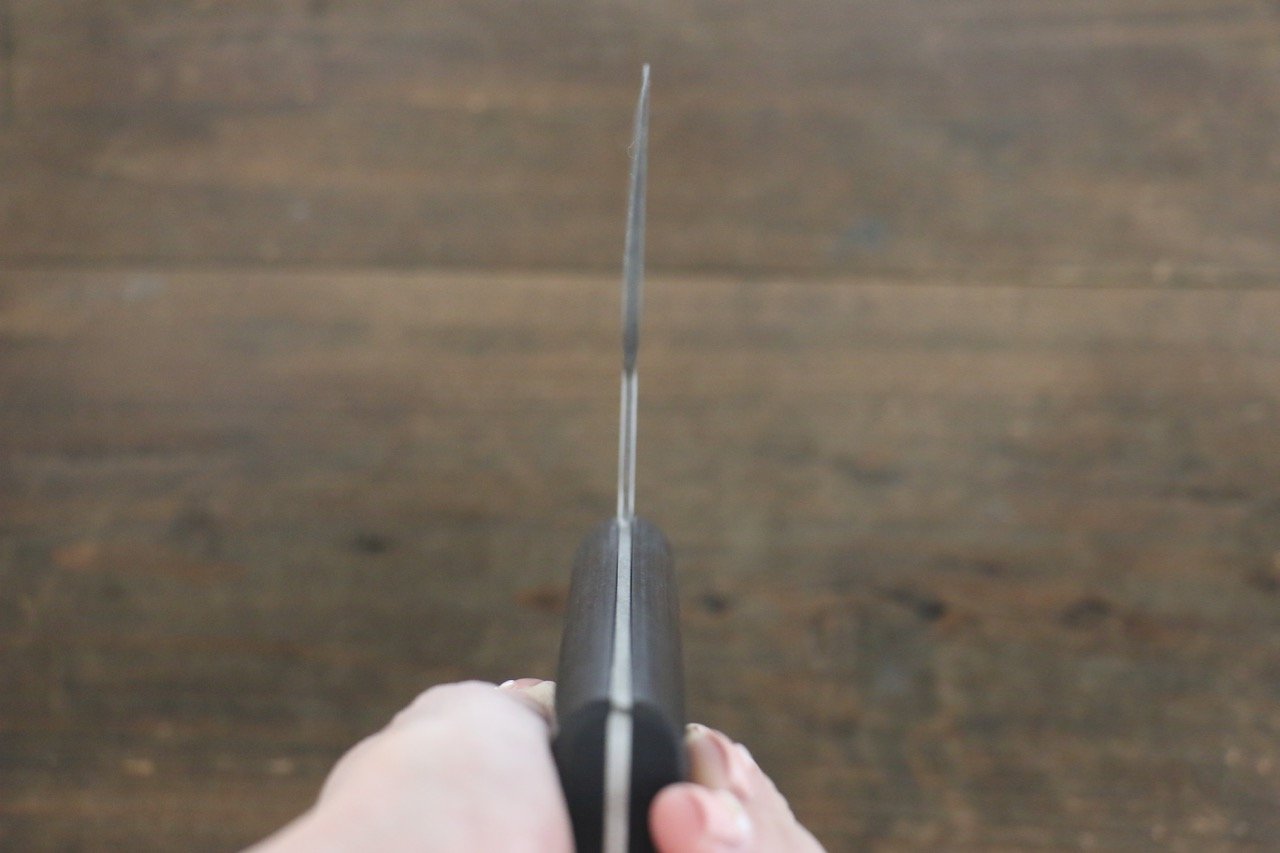 Sakai Takayuki INOX Molybdenum Steel Soba knife Japanese Chef Knife 270m - Japanny - Best Japanese Knife