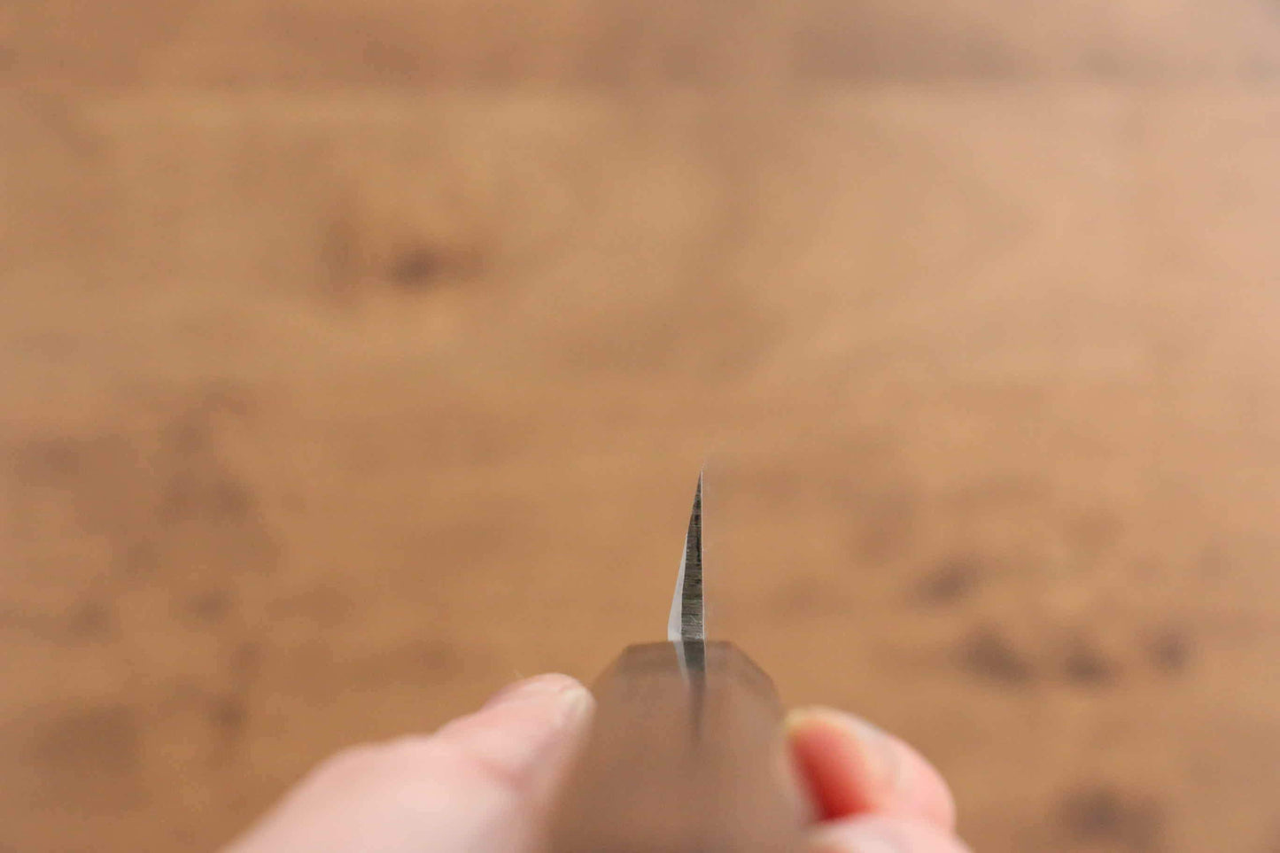 Sakai Takayuki Molybdenum Yanagiba Japanese Knife Wenge with Double Water Buffalo Ring Handle - Japanny - Best Japanese Knife