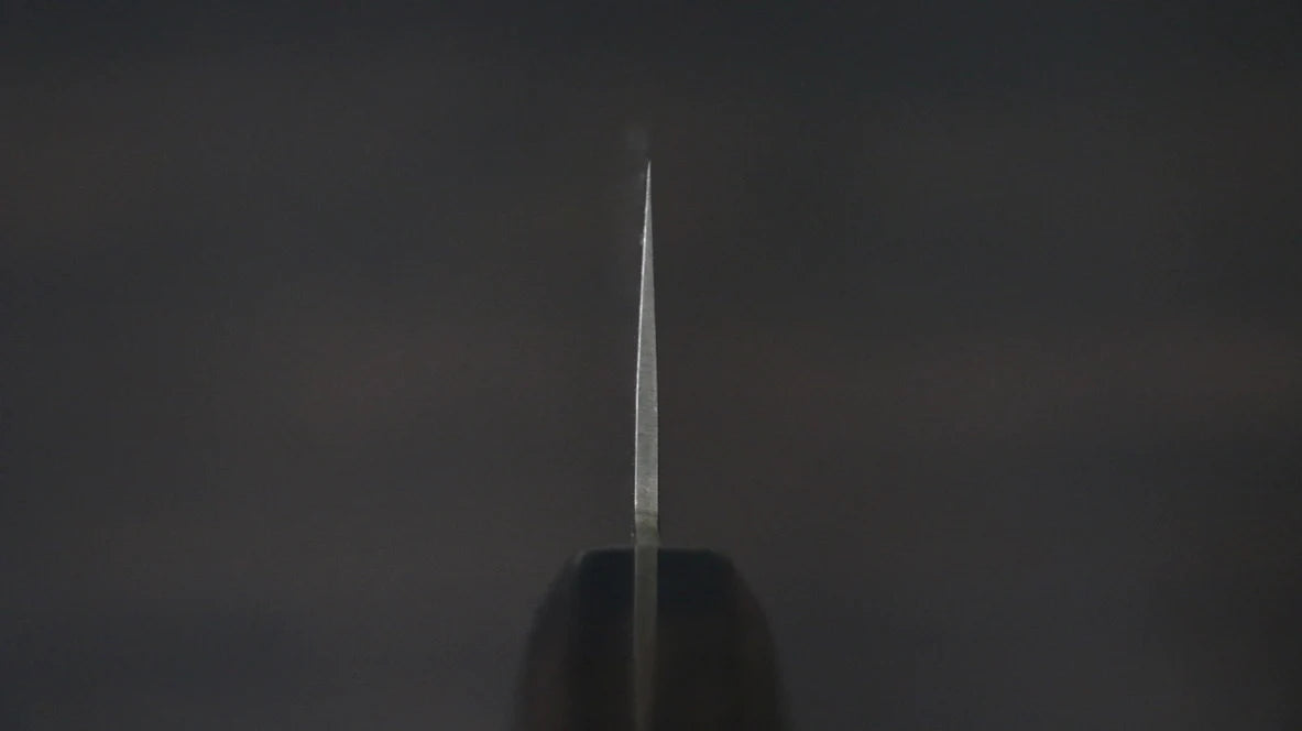 Dao Nhật cao cấp - Seisuke dao đa năng Gyuto thép Damascus 45 lớp AUS10 lưỡi dao 240mm