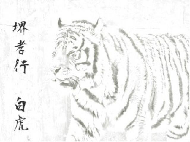 Sakai Takayuki Byakko (White Tiger) White Steel No.1 Kiritsuke(Japanese Sword) Japanese Sushi Chef Knife -270mm - Japanny - Best Japanese Knife