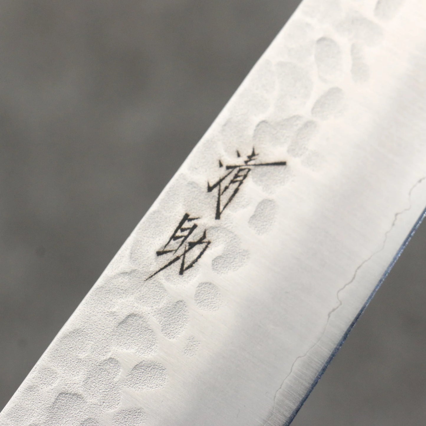 Thương hiệu Seisuke thép AUS8 vân búa dao rèn thủ công Dao lọc gân chuyên dụng Sujihiki 240mm chuôi dao gỗ Pakka đen