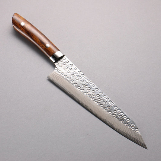 Thương hiệu Takeshi Saji Samurai SRS 13 Thép Damascus Rèn thủ công vân búa (hình tròn) Dao đa năng Gyuto 210mm chuôi dao gỗ Lim