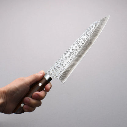 Thương hiệu Takeshi Saji Samurai SRS 13 Thép Damascus Rèn thủ công vân búa (hình tròn) Dao đa năng Gyuto 210mm chuôi dao gỗ Lim