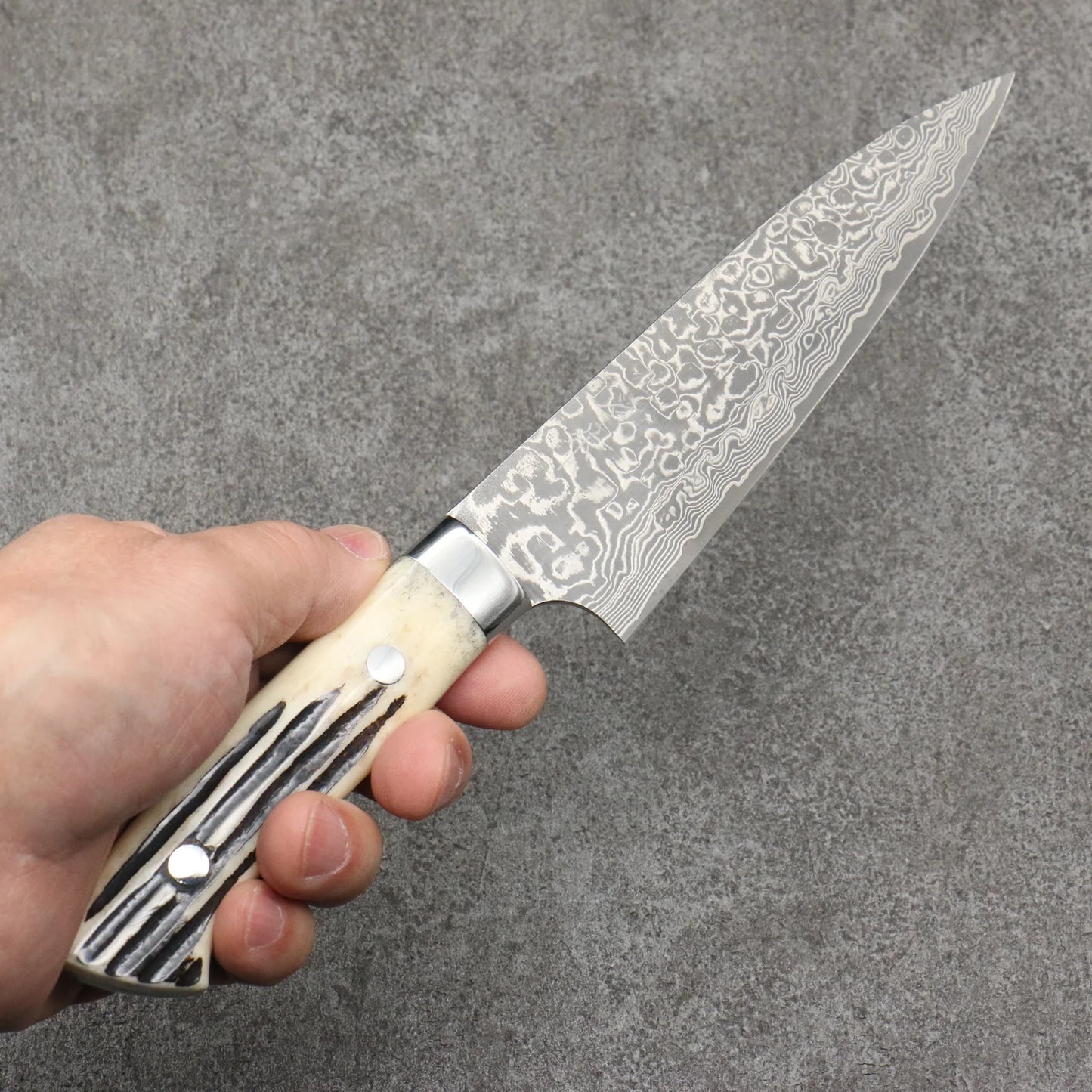 Takeshi Saji R2/SG2 Black Damascus Gyuto Japanese Knife 150mm White Deer Horn Handle