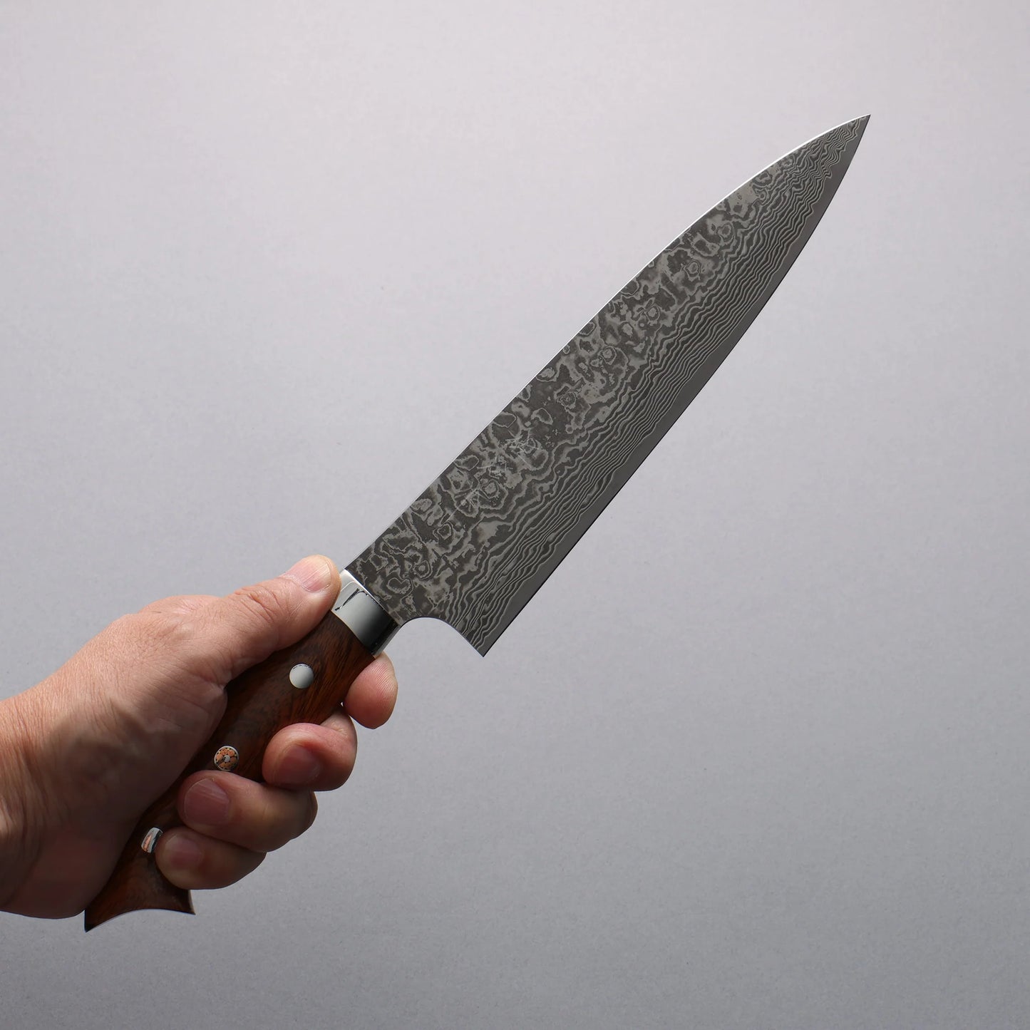 Thương hiệu Takeshi Saji SG2 Thép Damascus đen Dao đa năng Gyuto 210mm chuôi daogỗ Lim(Nomura style)