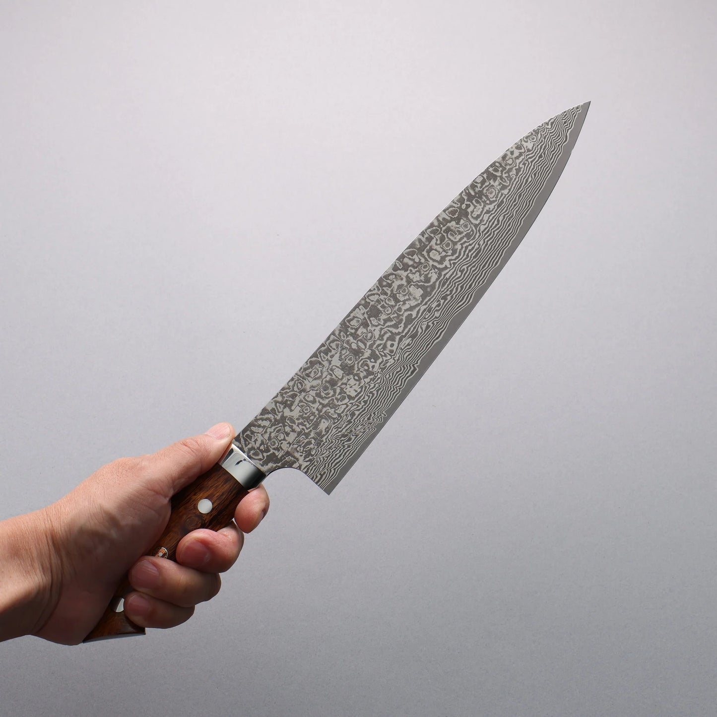 Thương hiệu Takeshi Saji SG2 Thép Damascus đen Dao đa năng Gyuto 240mm chuôi dao gỗ Lim(Nomura style mới)