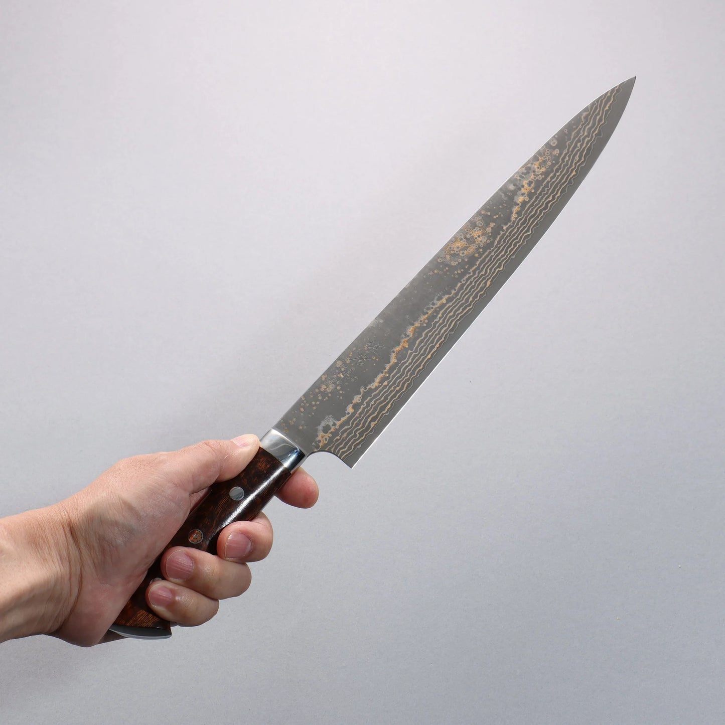 Thương hiệu Takeshi Saji VG10w Thép Damascus có màu đánh bóng hoàn thiện màu đen Dao lọc gân chuyên dụng Sujihiki 270mm chuôi dao gỗ Lim