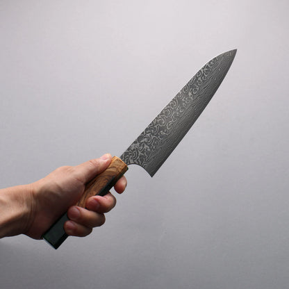 Thương hiệu Yoshimi Kato SG2 Thép Damascus đen Dao đa năng Gyuto 210mm chuôi dao nhựa ô liu và màu xanh lá cây