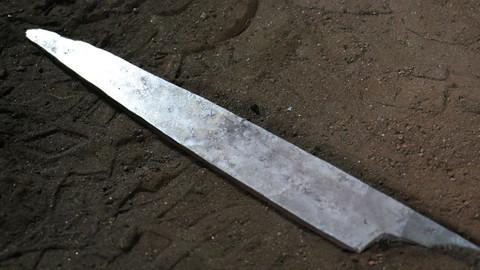 Sakai Takayuki Seiryu Blue Steel No.2 Kiritsuke Japanese Sword Style Japanese Sushi Knife -300mm - Japanny - Best Japanese Knife