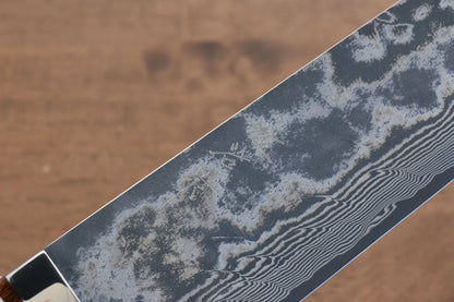 Thương hiệu Takeshi Saji R2/SG2 Thép Damascus đen Dao đa năng Gyuto dao Nhật 270mm chuôi dao làm từ gỗ Lim