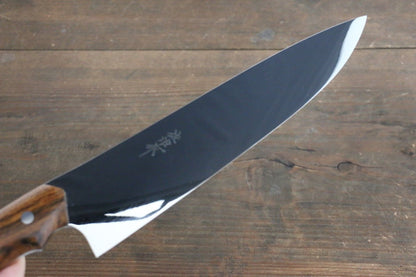 Takeshi Saji Coreless Mirrored Finish Gyuto Japanese Chef Knife 210mm with Iron Wood Handle - Japanny - Best Japanese Knife