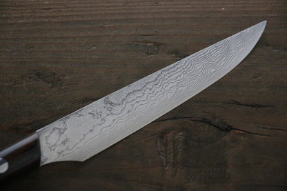 Takeshi Saji R2/SG2 Steak Knife Japanese Chef Knife 125mm with Cocobolo handle - Japanny - Best Japanese Knife
