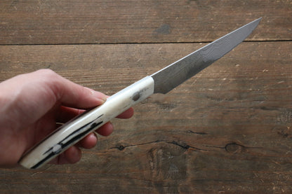 Takeshi Saji VG10 Diamond Finish Steak Japanese Knife 125mm with White Cow Bone  Handle - Japanny - Best Japanese Knife