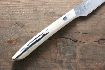 Takeshi Saji VG10 Diamond Finish Steak Japanese Knife 125mm with White Cow Bone  Handle - Japanny - Best Japanese Knife